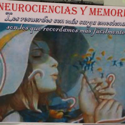 I Congreso Internacional Neurociencia Educacion Y Emociones El Reto Formativo Del Siglo Xxi La Construccion De Las Practicas Aulicas 132 20190606 1206033539