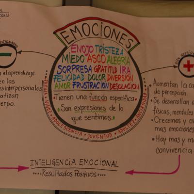I Congreso Internacional Neurociencia Educacion Y Emociones El Reto Formativo Del Siglo Xxi La Construccion De Las Practicas Aulicas 133 20190606 1331775402