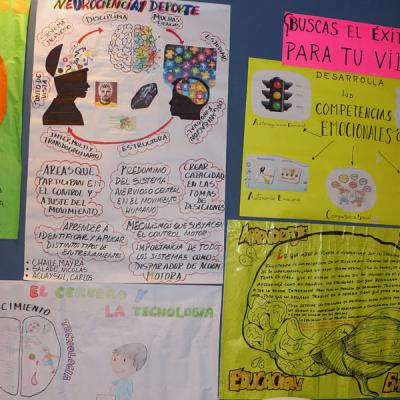 I Congreso Internacional Neurociencia Educacion Y Emociones El Reto Formativo Del Siglo Xxi La Construccion De Las Practicas Aulicas 36 20190606 1928711837
