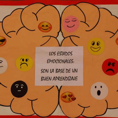 I Congreso Internacional Neurociencia Educacion Y Emociones El Reto Formativo Del Siglo Xxi La Construccion De Las Practicas Aulicas 41 20190606 1953836420
