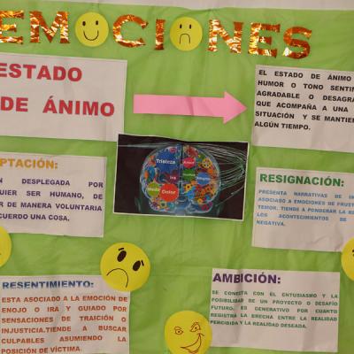 I Congreso Internacional Neurociencia Educacion Y Emociones El Reto Formativo Del Siglo Xxi La Construccion De Las Practicas Aulicas 45 20190606 1363731628